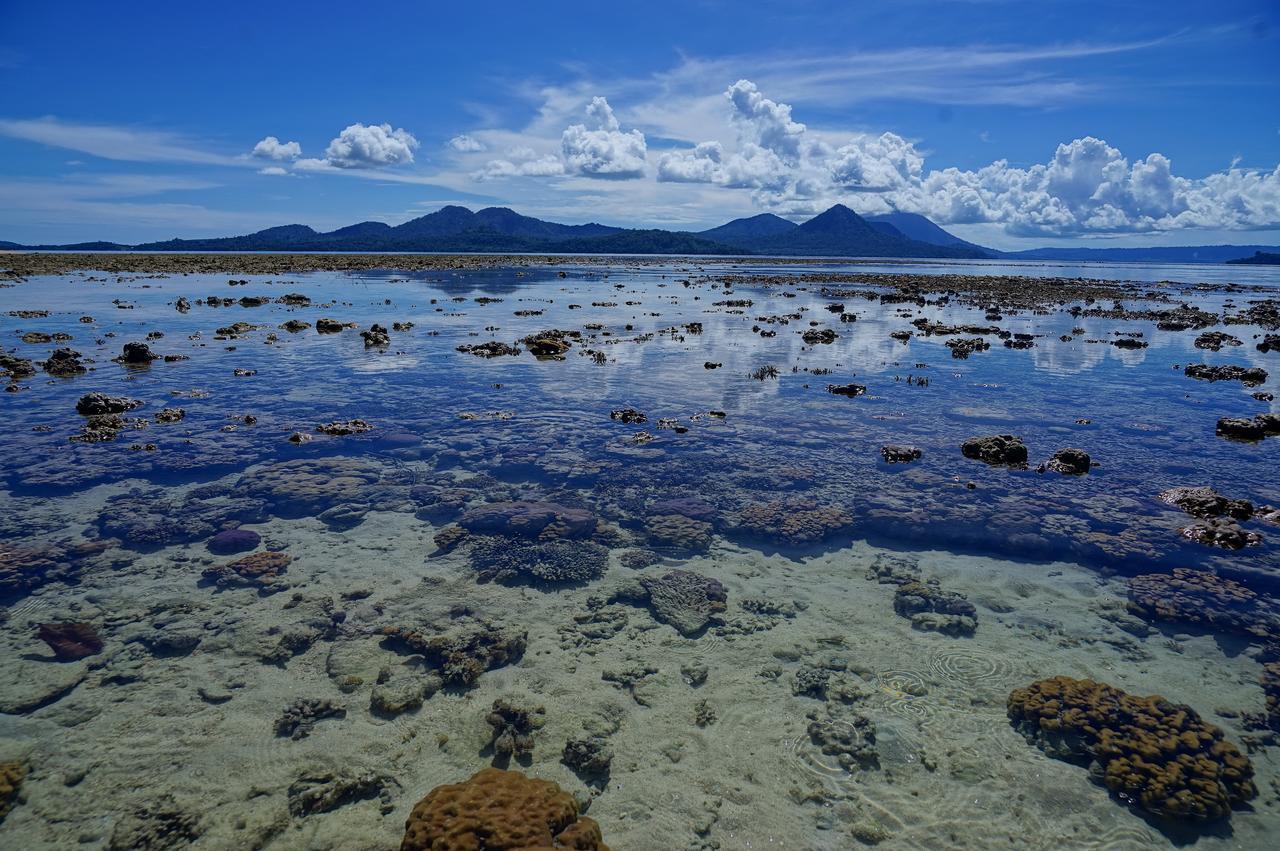 Liamo Reef Resort 킴베 외부 사진